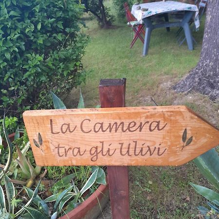 La Camera Tra Gli Ulivi Dream Finale Finale Ligure Εξωτερικό φωτογραφία