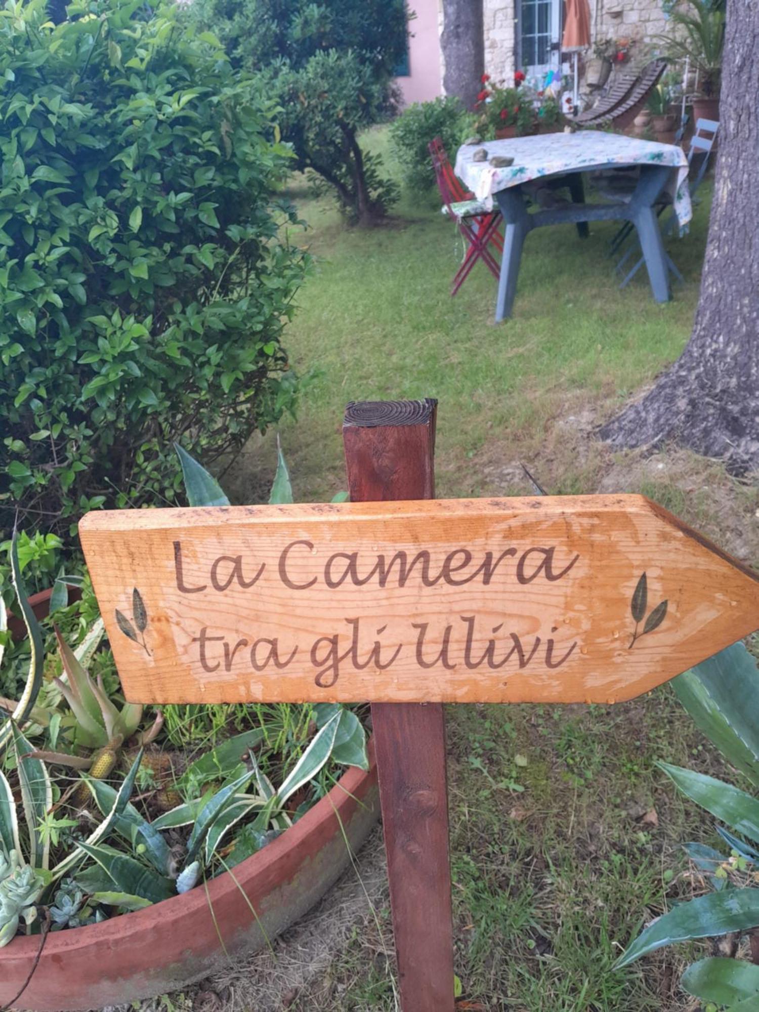 La Camera Tra Gli Ulivi Dream Finale Finale Ligure Εξωτερικό φωτογραφία