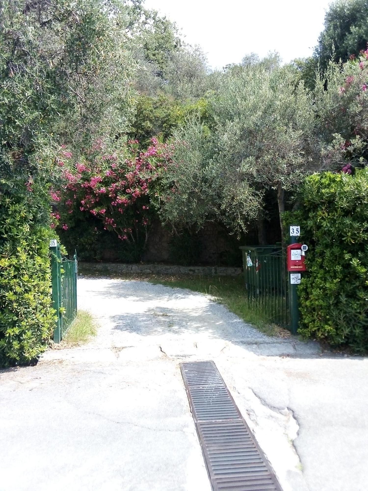 La Camera Tra Gli Ulivi Dream Finale Finale Ligure Εξωτερικό φωτογραφία