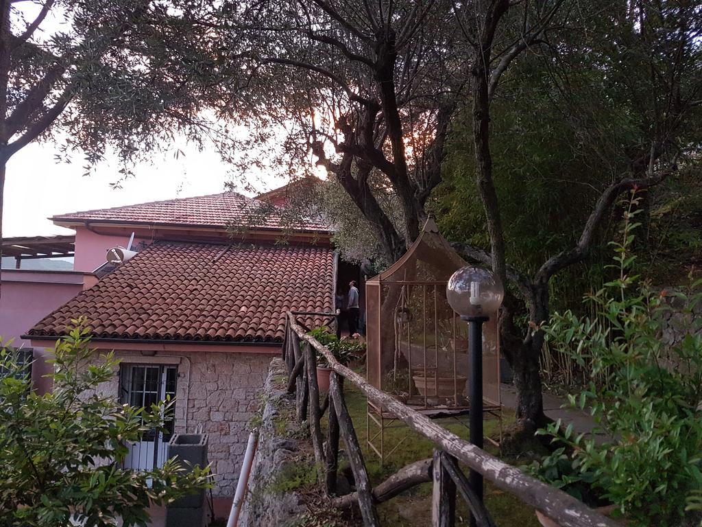 La Camera Tra Gli Ulivi Dream Finale Finale Ligure Εξωτερικό φωτογραφία