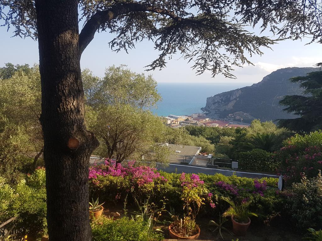 La Camera Tra Gli Ulivi Dream Finale Finale Ligure Εξωτερικό φωτογραφία